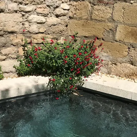 N15 - Chambres d'hôtes et appartement-2